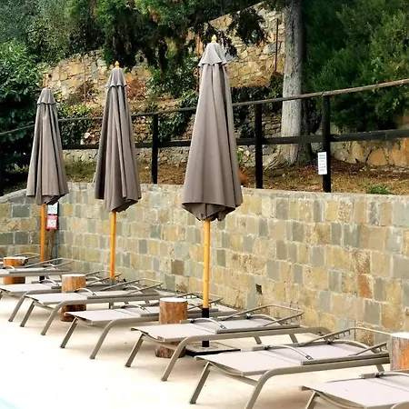 Villa Osteria Du Barba Pe' - Casa Cassini *