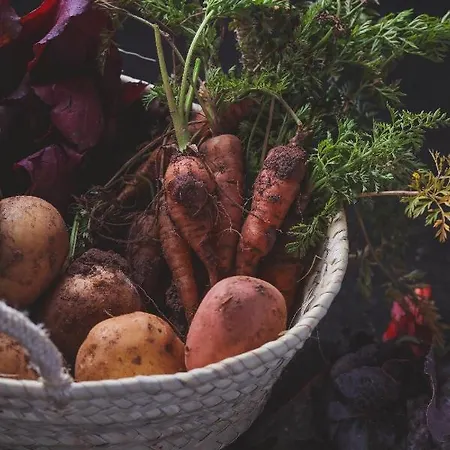 Villa Osteria Du Barba Pe' - Casa Cassini